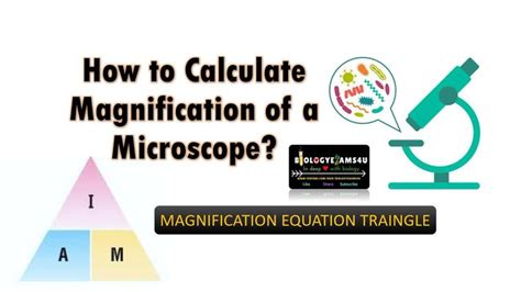 microscope magnification equation|levels of magnification microscope.